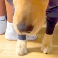 雨の日、仕方なく『…