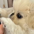 ゲームをしていたら…