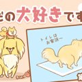 ただの犬好きです。…