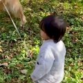 小さい男の子が大型…