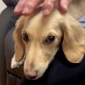 おばあちゃんと過ご…