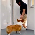 犬の前に『誘拐犯』…