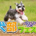GW初日は犬祭！犬部…