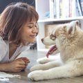 後ろからトコトコ......どうして犬は飼い主の後をついてくるの？