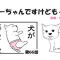 ちーちゃんですけど…