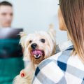 骨再生技術で脚を取…