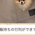 突然、妻からLINEで…