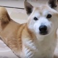 「気持ちを表現して…
