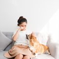 犬が飼い主を『慰め…