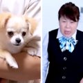実家の犬が亡くなり…