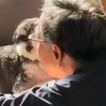 『犬だけは絶対に飼…