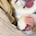 小さな赤ちゃんとお…