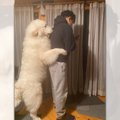 「人だと思った」グ…