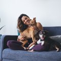 犬から『愛される』…