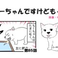ちーちゃんですけど…