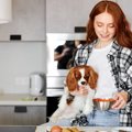 犬の免疫力を高める…