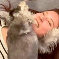 『愛犬の姉妹』に会…