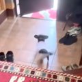 1人で実家に帰ってい…