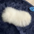 スマホ整理中に『謎…