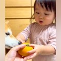 2歳の女の子に初めて…
