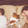 愛犬と出会えて良か…