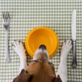 犬のご飯における『N…