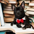 いくつ知ってる？犬…