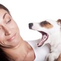犬が病気になってい…