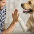 愛犬から尊敬される…