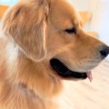 病院の待合室で『診…