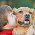 子どもに犬を飼いた…