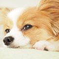 「今は放っておいて…