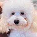 誰も足を止めずに『…