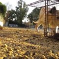 この大変化は驚き！…
