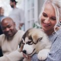 犬の飼い主適正チェ…