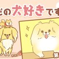 ただの犬好きです。…