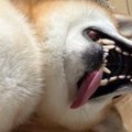 散歩から帰ってきた…