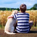 介助犬がADHDの児童…