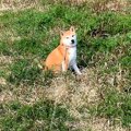 ムスッとした表情で…