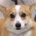 サロンでお手入れ中…