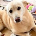 『感情を出すことは…