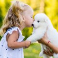 犬と『キス』するの…