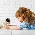 犬に「与えるべきス…