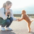 犬を迎える前に犬を…