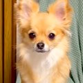 ふと『ソファーでく…