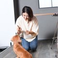 『しつけができてい…