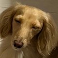 深夜3時にジャーキー…