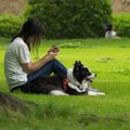 犬との散歩でトラブ…