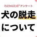 【アンケート実施中…