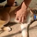 こしょこしょ攻撃に…